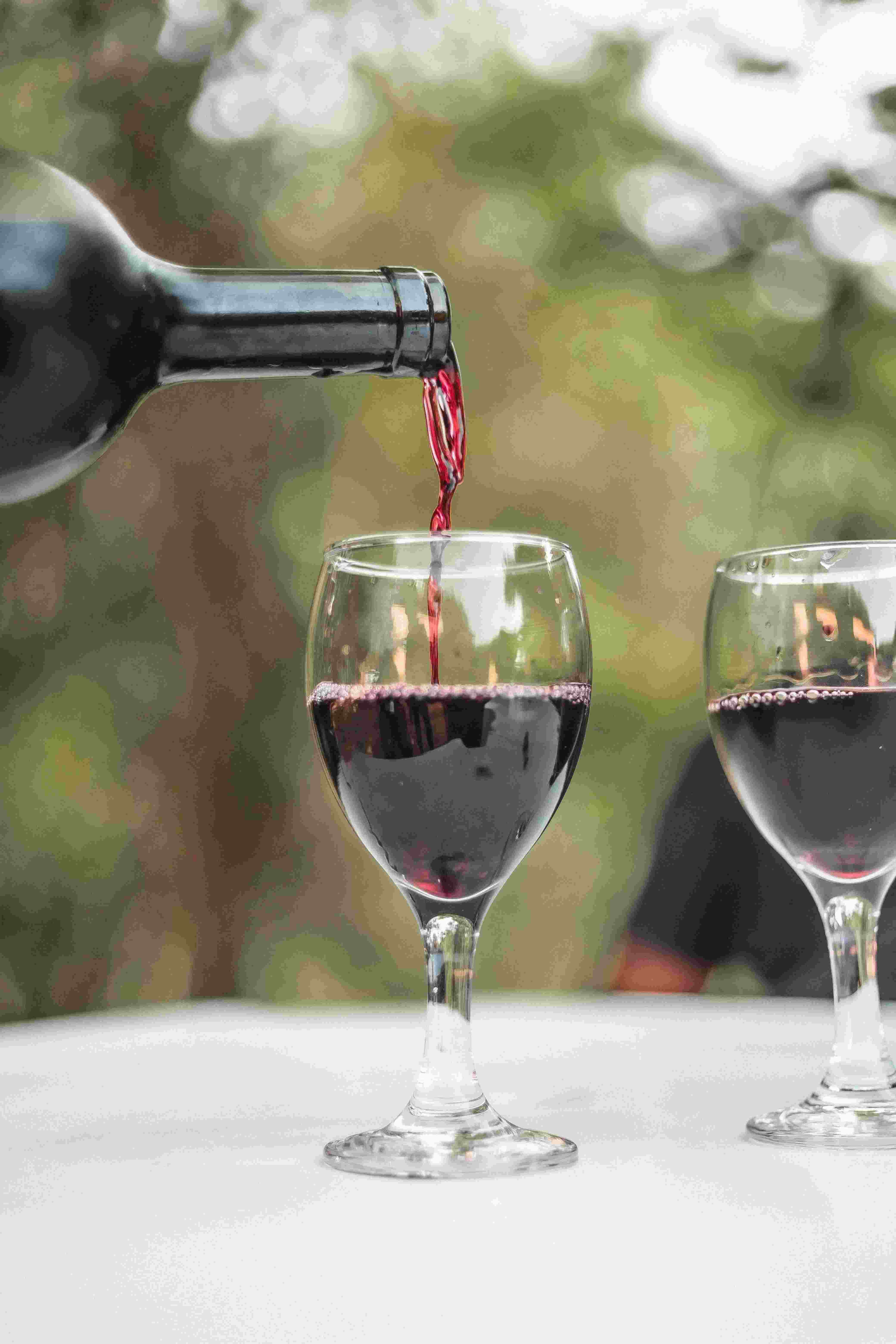 Roban 30 mil botellas de vino en una histórica bodega italiana